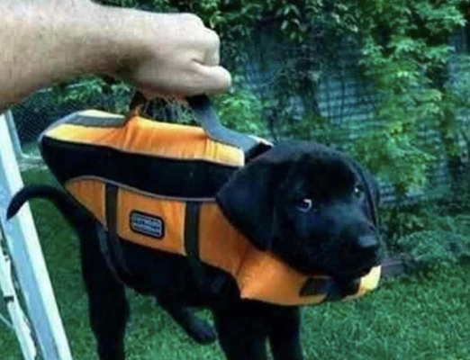 CauseWereGuys's tweet photo. I almost forgot my briefcase, it contains important lab results https://t.co/PZDnpKmFYP