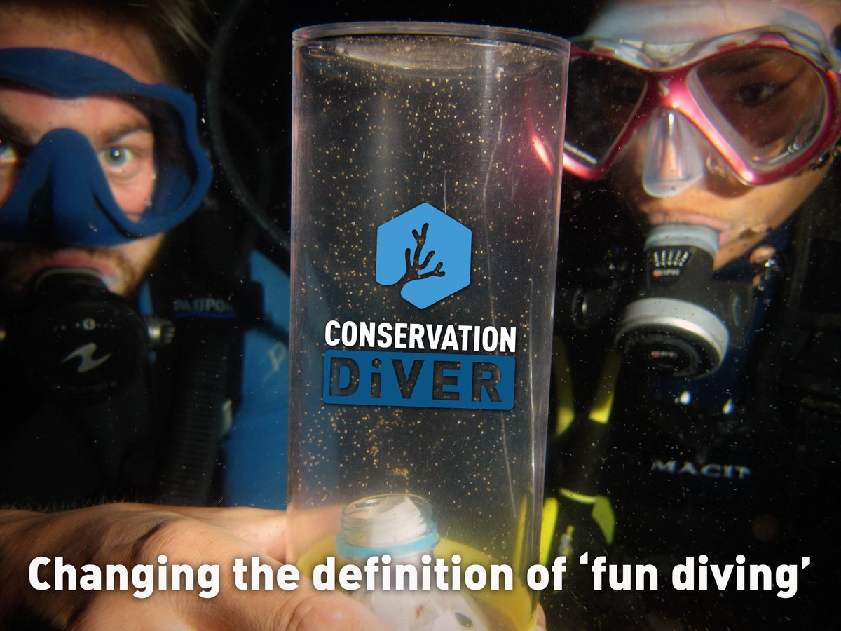 ConservationD's tweet photo. Have you witnessed #CoralSpawning? 🌕🌕

We approach #conservation holistically, as #coralreef preservation requires multi-faceted methods. One of our focuses is #coral #spawning, where we aid coral gamete fertilization + recruit survival. 

#oceanconservation #spawning #biology https://t.co/uQDS7Y5Gg0