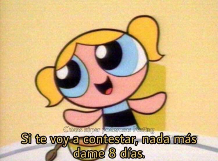 paula tweet media
