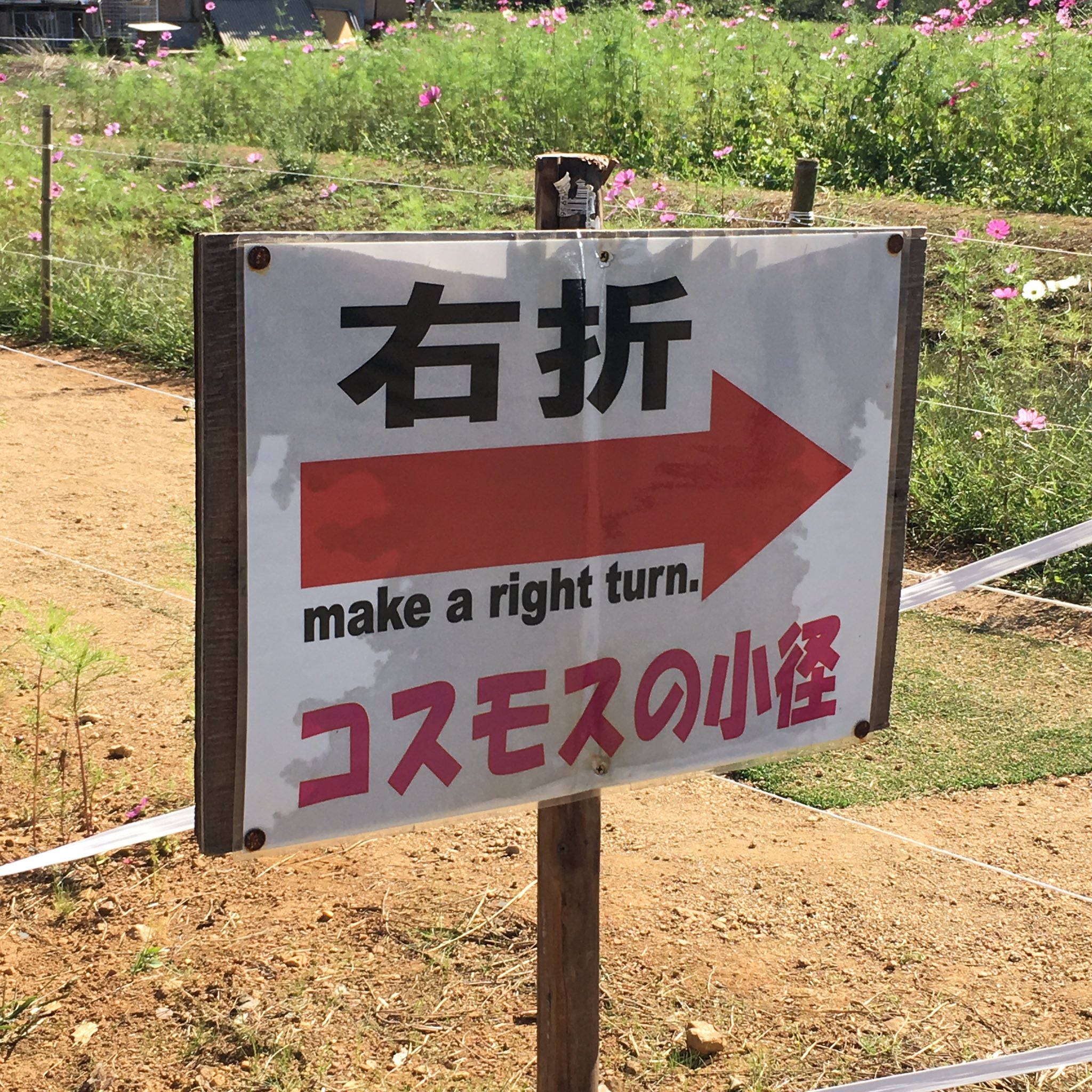 間違い英語 Twitter Search Twitter
