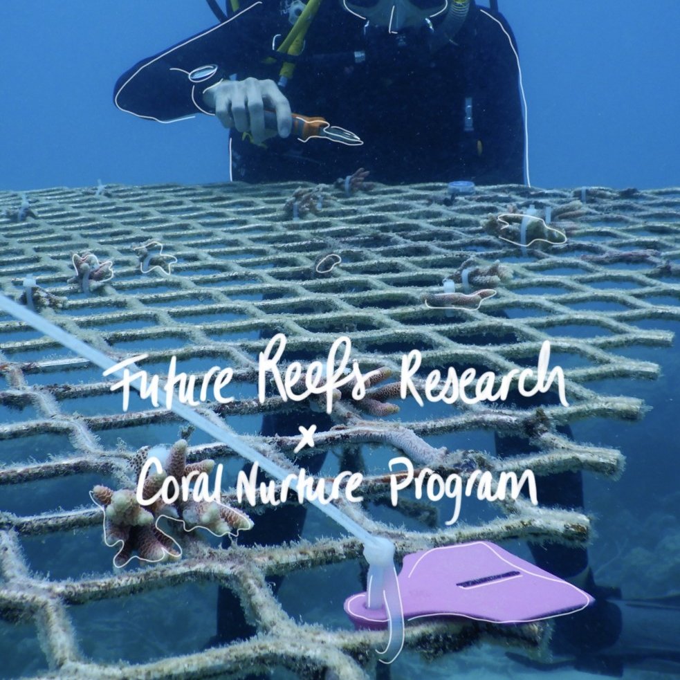 CoralNurture's tweet photo. #FutureReefsxCNP Introducing our next scientist conducting some interesting research. @PaigeStrudwick is a PhD candidate working in conjunction with @DavidJSuggett @emmafcamp and Justin Seymour at @UTS_Science @uts_c3.
#coralmicrobiology #oceanmicrobes #reefresearch #coralgarden https://t.co/dbm1icbl1A
