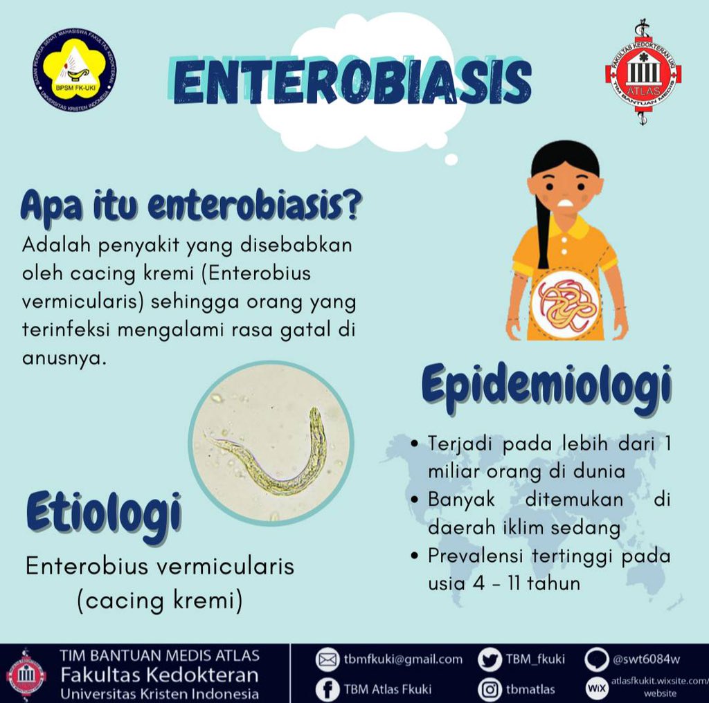 Penyakit enterobius vermicularis - Enterobius vermicularis( cacing kremi) - parcareotopeniro