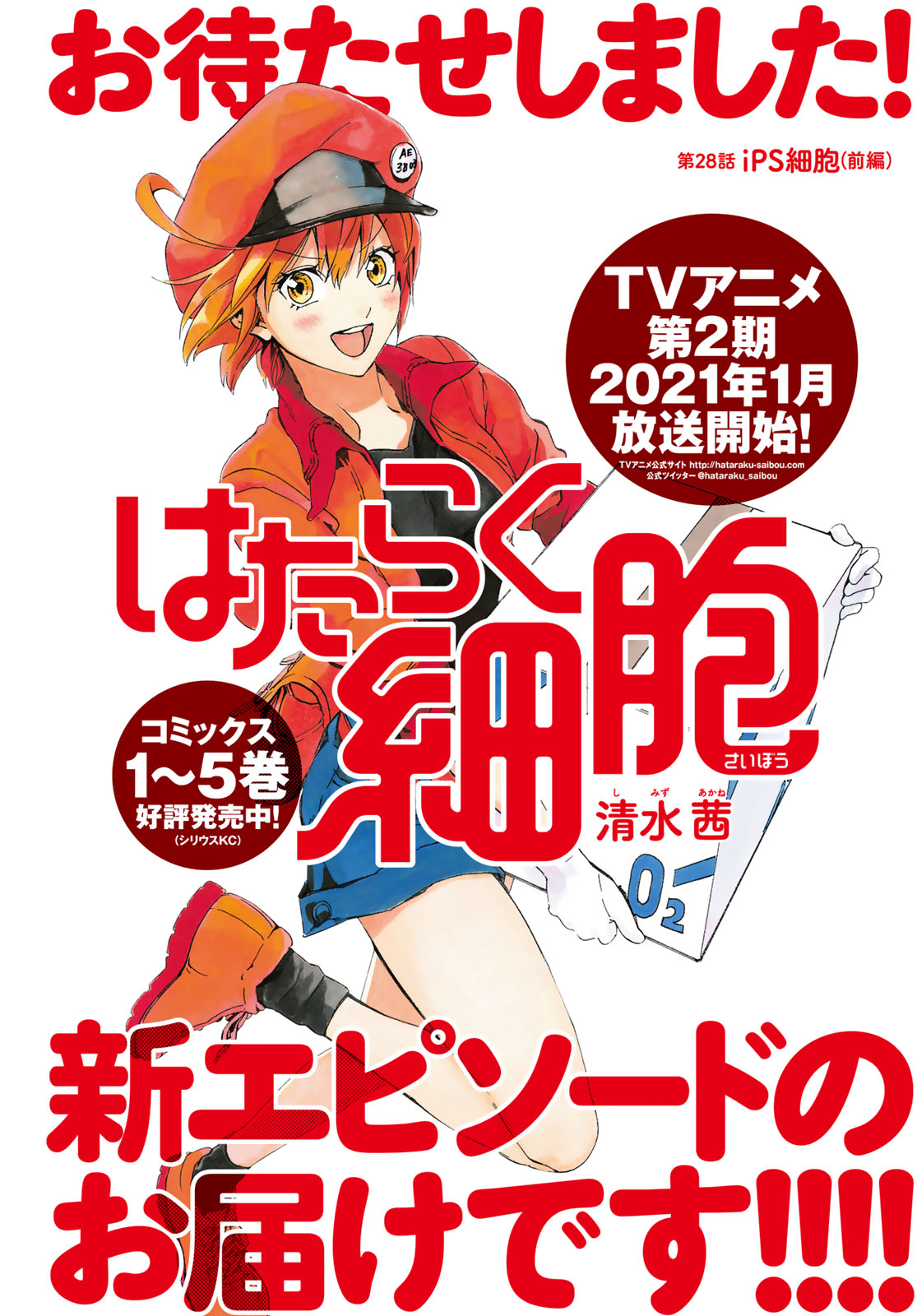 はたらく細胞 新連載号 ペルソナ 新連載号 【月刊シリウス 2015