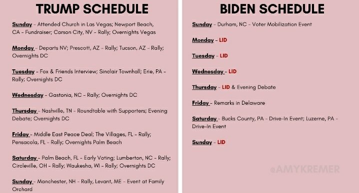 JM__Henderson's tweet photo. What a schedule... gosh I wish Trump would just actually go somewhere!!! 😂🤦🏽‍♂️ #JoeIsInHisBasement #Trump2020LandslideVictory #BidenCorruption #TrumpIsWinning https://t.co/S4yBRlzR6z