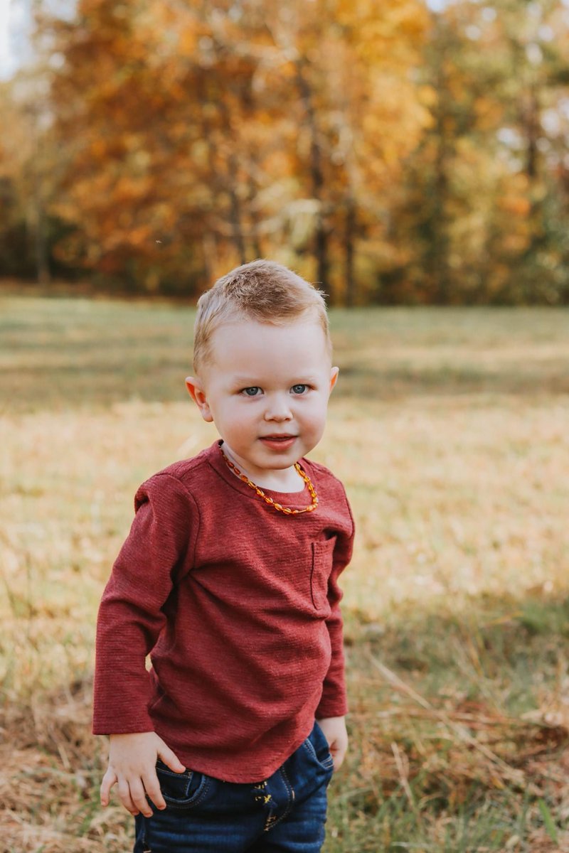KaciDaniel13's tweet photo. fall pictures 2020 🧡🍂 https://t.co/xolqjkOfmm