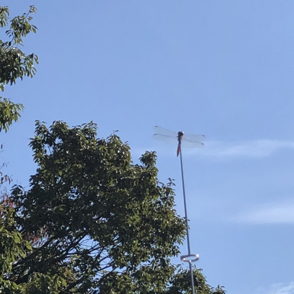 CB にて、さいたまCY55局  いばらきVX7局交信ありがとうございました😊　

#足利市大岩山
#小春日和