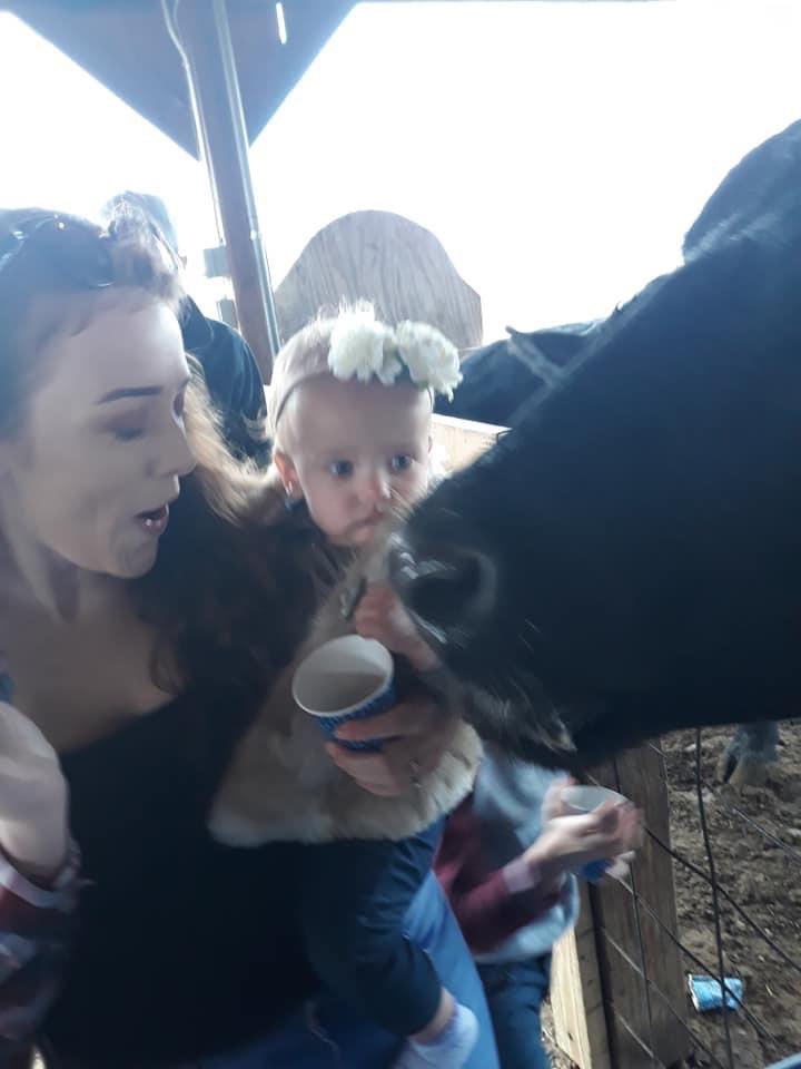 jackassjena's tweet photo. It was at this exact moment Dani realized she hates cows. #meltdown https://t.co/rSv2tIvpXL