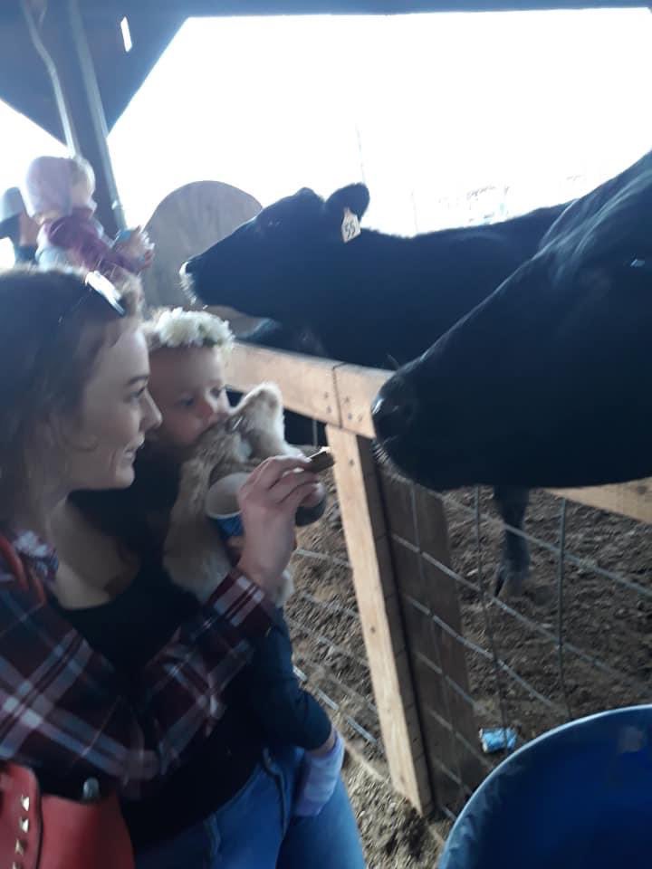 jackassjena's tweet photo. It was at this exact moment Dani realized she hates cows. #meltdown https://t.co/rSv2tIvpXL