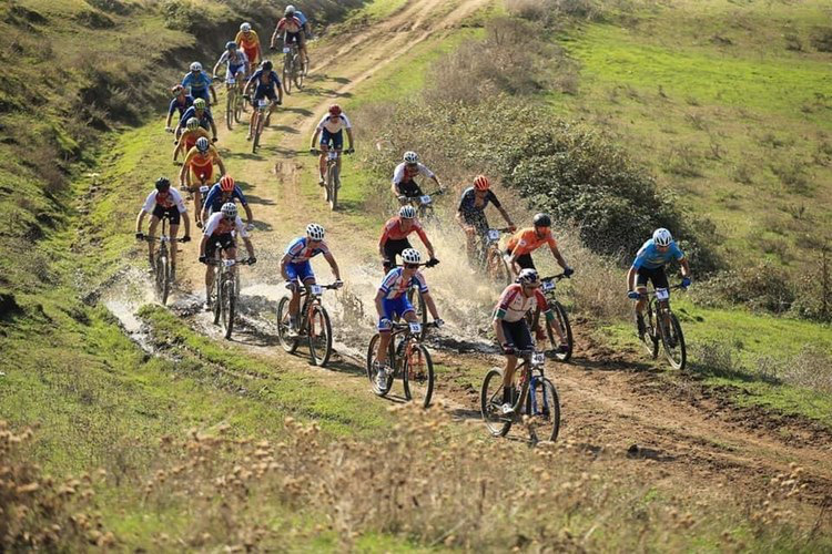 Giant Bicycles tweet media