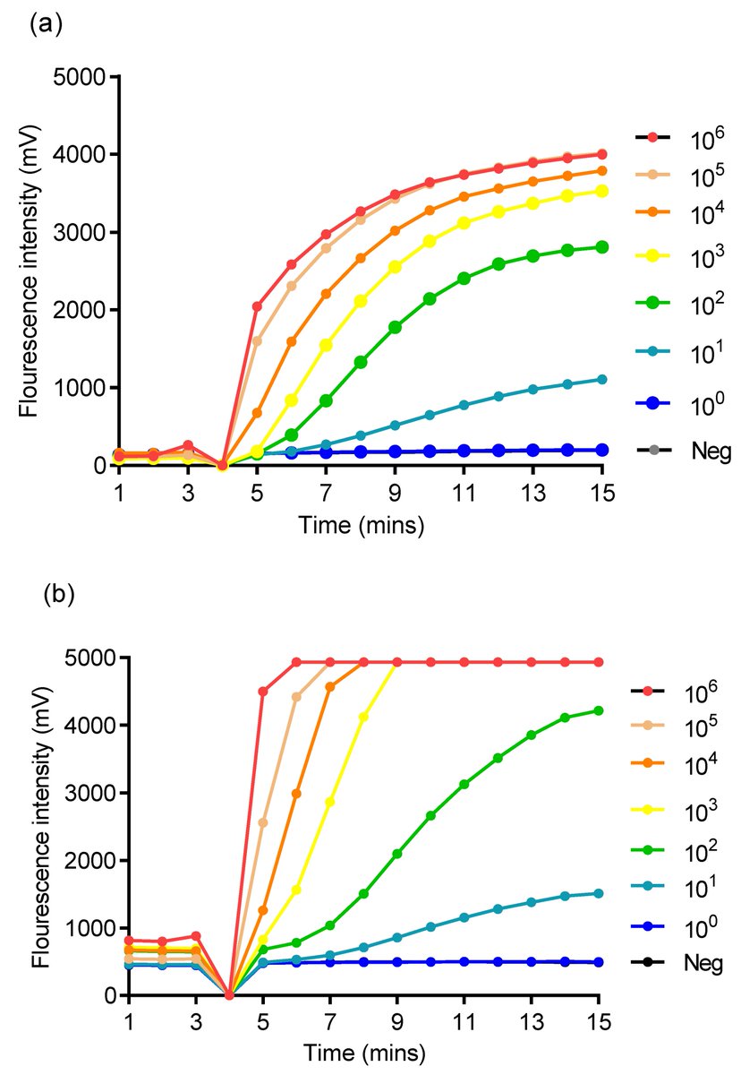 TropicalmedMDPI's tweet photo. #TropicalmedMDPI Michael Frimpong et al. @KNUSTGH, @UnivofGh, @eCampus_unigoe, @UniLeipzig Multiplex #Recombinase #Polymerase #Amplification Assay for Simultaneous Detection of #Treponema #pallidum and #Haemophilus #ducreyi in Yaws-Like Lesions 
https://t.co/eDvbXrfwGa https://t.co/tH7ndg5NYD