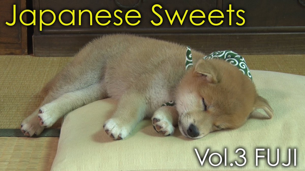 豆助 Mamesuke 公式 Mamesuke Shiba Inu Japanese Sweets Vol 3 Fuji The Japanese Born Shiba Inu Mamesuke Sends Japanese Sweets To The World This Time The Symbol Of The Japanese 豆助 Mamesuke 公式 Mamesuke Shiba Inu Japanese Sweets Vol 3 Fuji The Japanese Born Shiba Inu Mamesuke Sends Japanese Sweets To The World This Time The Symbol Of The Japanese