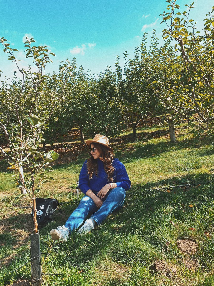 marlusilvae's tweet photo. Fun #fall activity: 🍎 picking! 
Here’s the post - https://t.co/t9YZKK0swG https://t.co/Pop4YjG3zI