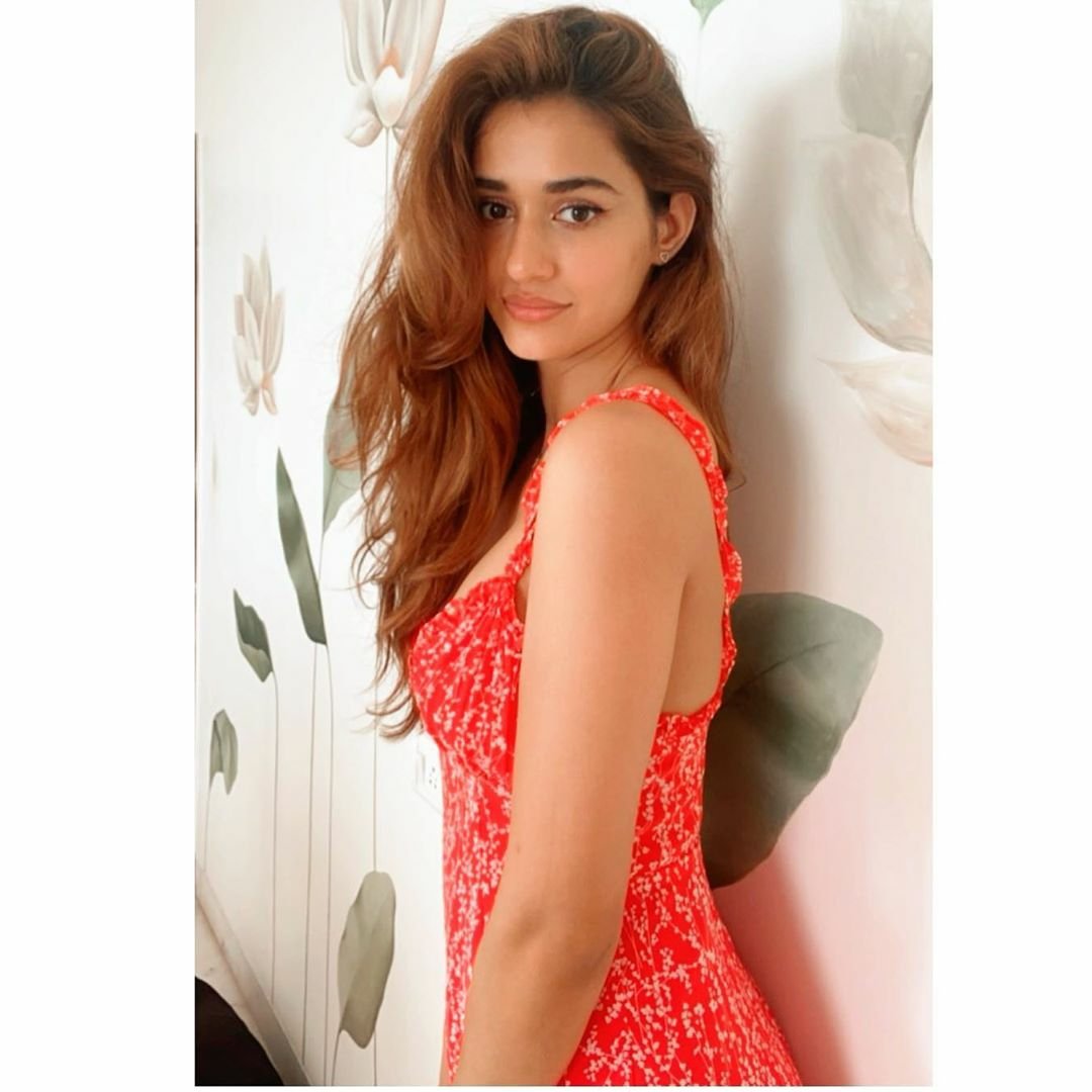 Disha Patani tweet media