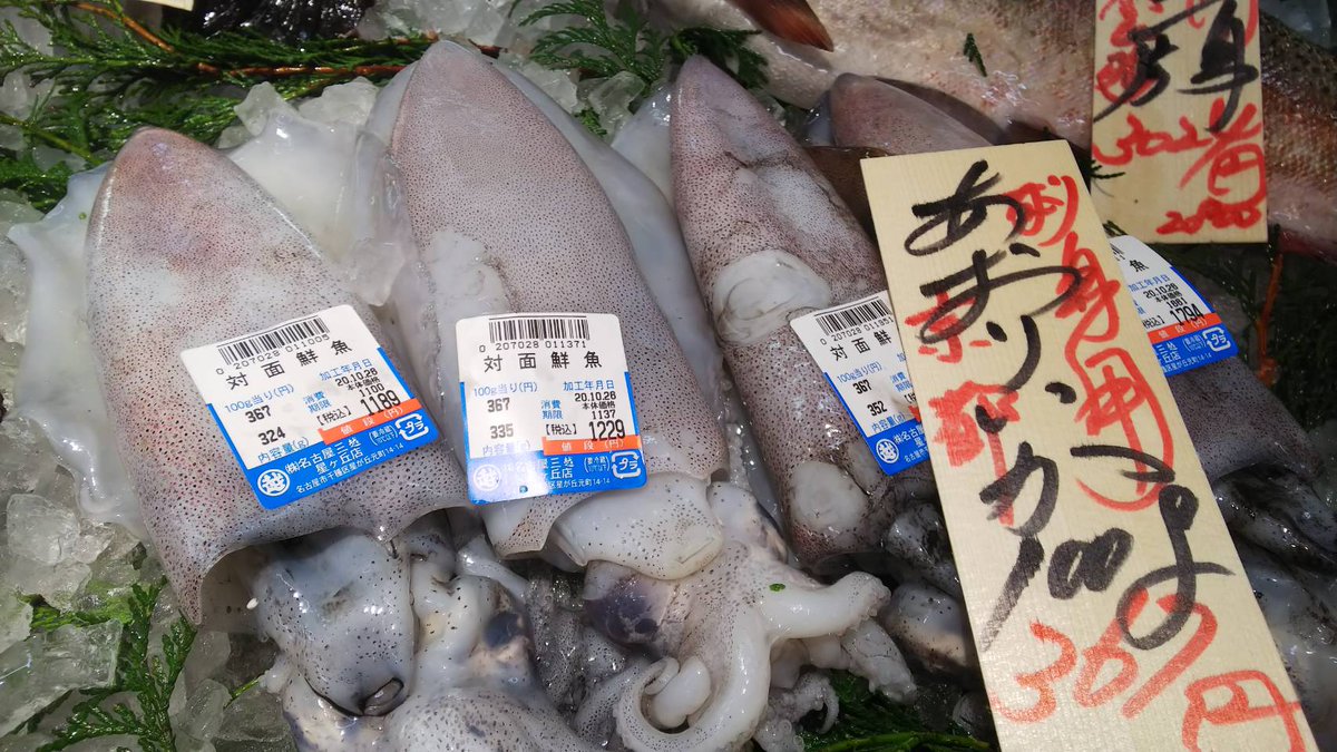 魚忠販売促進部雑用係長つねを 元気ですかーッ 魚忠三越星ヶ丘店 本日はイカ祭り 開催 魚屋の顔 対面コーナーでは あおりいか もんこういか やりいか を絶賛販売中 魚河岸寿司で人気なのは イカの握り こちらの握り寿司 個人的にはお塩とレモン 魚忠販売促進部雑用係長つねを 元気ですかーッ 魚忠三越星ヶ丘店 本日はイカ祭り 開催 魚屋の顔 対面コーナーでは あおりいか もんこういか やりいか を絶賛販売中 魚河岸寿司で人気なのは イカの握り こちらの握り寿司 個人的にはお塩とレモン