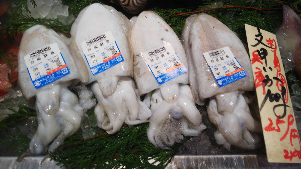 魚忠販売促進部雑用係長つねを 元気ですかーッ 魚忠三越星ヶ丘店 本日はイカ祭り 開催 魚屋の顔 対面コーナーでは あおりいか もんこういか やりいか を絶賛販売中 魚河岸寿司で人気なのは イカの握り こちらの握り寿司 個人的にはお塩とレモン 魚忠販売促進部雑用係長つねを 元気ですかーッ 魚忠三越星ヶ丘店 本日はイカ祭り 開催 魚屋の顔 対面コーナーでは あおりいか もんこういか やりいか を絶賛販売中 魚河岸寿司で人気なのは イカの握り こちらの握り寿司 個人的にはお塩とレモン