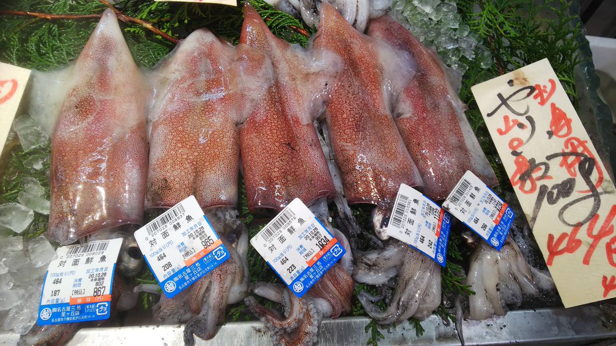 魚忠販売促進部雑用係長つねを 元気ですかーッ 魚忠三越星ヶ丘店 本日はイカ祭り 開催 魚屋の顔 対面コーナーでは あおりいか もんこういか やりいか を絶賛販売中 魚河岸寿司で人気なのは イカの握り こちらの握り寿司 個人的にはお塩とレモン 魚忠販売促進部雑用係長つねを 元気ですかーッ 魚忠三越星ヶ丘店 本日はイカ祭り 開催 魚屋の顔 対面コーナーでは あおりいか もんこういか やりいか を絶賛販売中 魚河岸寿司で人気なのは イカの握り こちらの握り寿司 個人的にはお塩とレモン