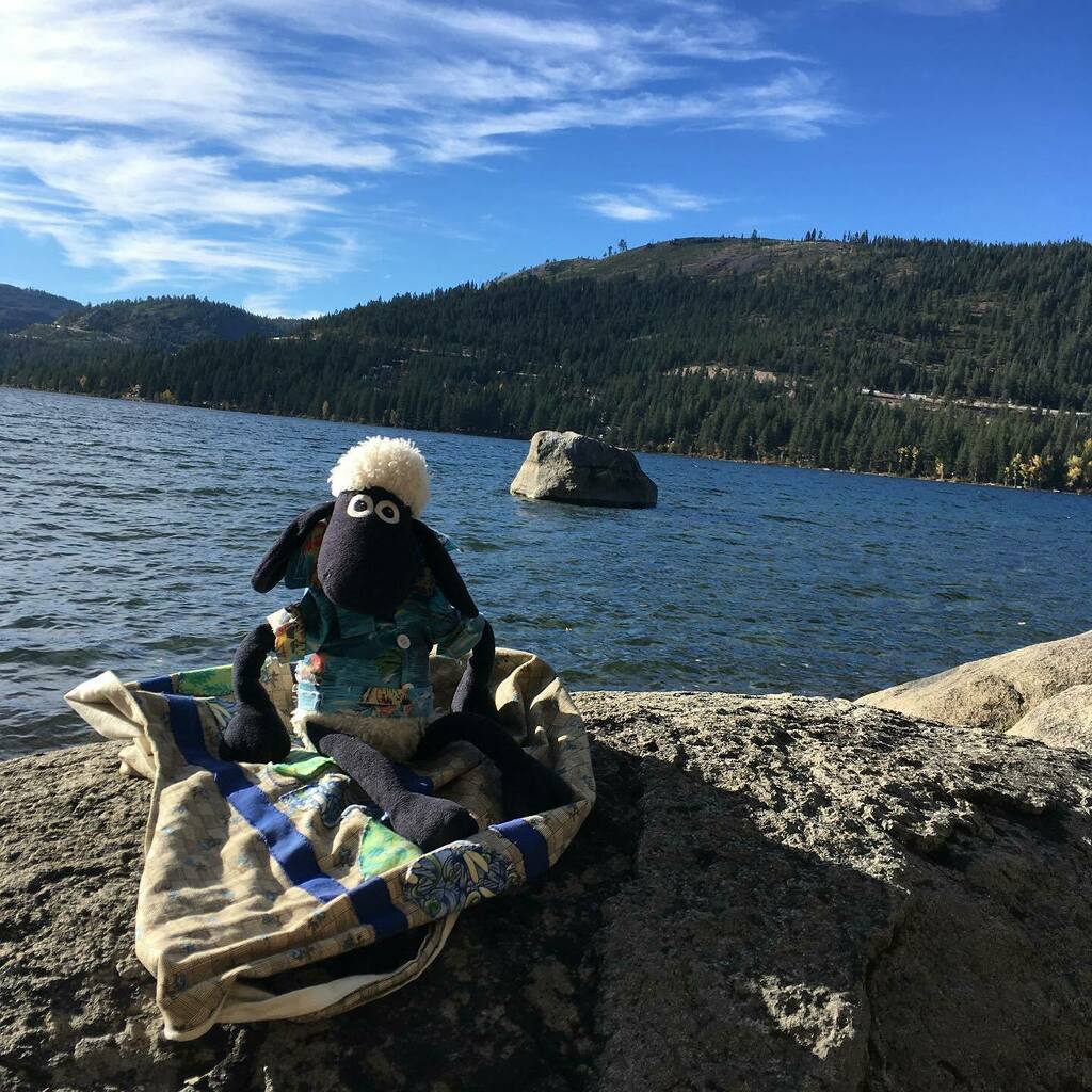 Annettehelen's tweet photo. Found me a rock to meditate on. #ohmm #meditation #nature #plushiesofinstagram #shaunthesheep https://t.co/zttu8HncfK https://t.co/FsEkWlGimR