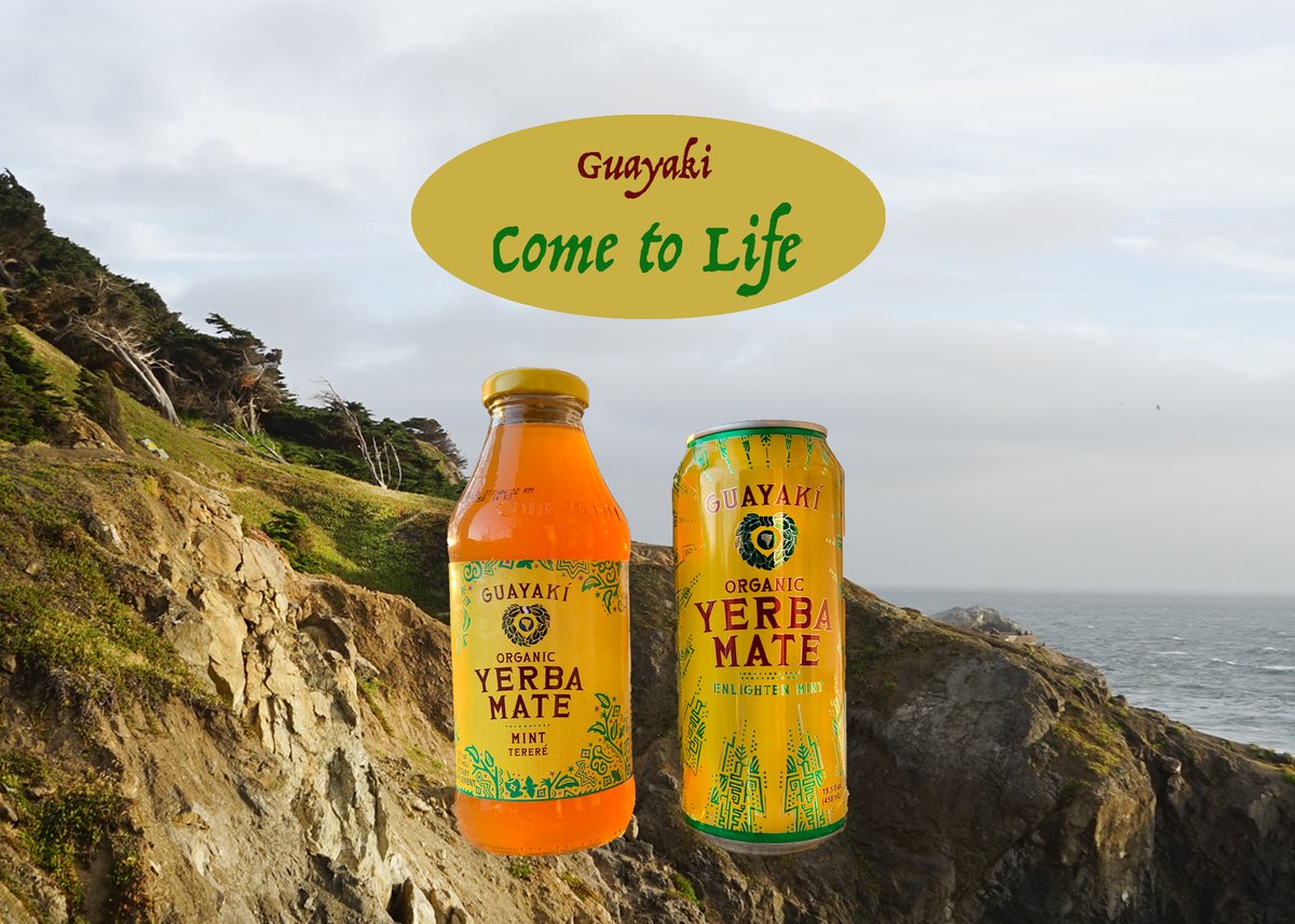 calvinknop2's tweet image. For my personal project I chose to promote a product that does not see much popularity in the Pullman area. Guayakí Yerba Mate makes great beverages and their company is driven on regenerating ecosystems and communities. #MurrowUGLife #com210 #project7