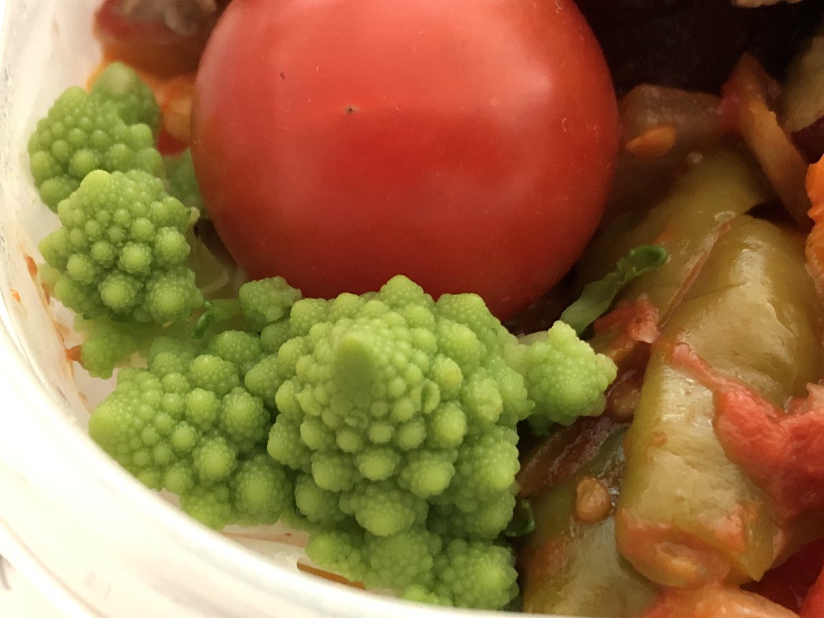 畑のオヤジ カミさんがお弁当にロマネスコを入れてくれました ロマネスコ 弁当 Hatakeoyaji 自給自足 北海道 家庭菜園 無農薬野菜 有機栽培 田舎暮らし 移住