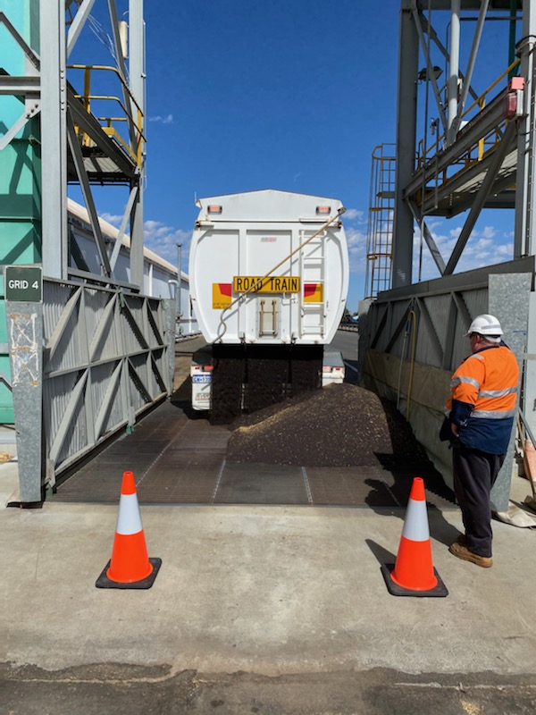 First load of canola delivered to Borden this morning #harvest2020 
<a href="/cbhgroup/">CBH Group</a>