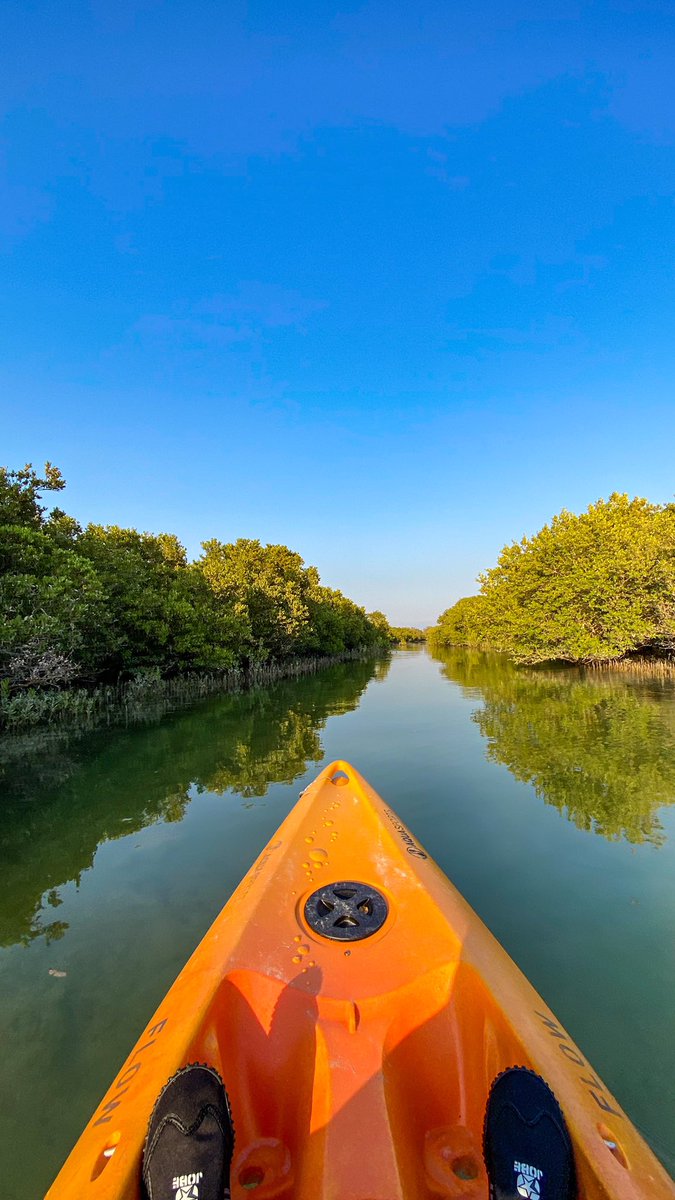 albinali_he's tweet photo. بما اني من زمان انزل بالكياك .. أمس قررت اخذ كياك وانزل بروحي استكشف جمال المكان 💚🌳 https://t.co/obCyxmtCKK