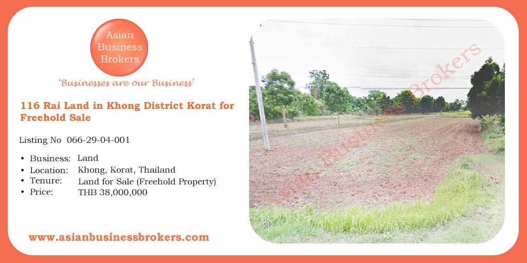 asianbizbrokers's tweet photo. 116 Rai Land in Khong District Korat for Freehold Sale
Listing No. 066-29-04-001
Price: THB 38,000,000
https://t.co/z4BXAKPuAe
#Land #LandforSale #Khong #Korat #Agriculture #Farming #Farm #SlowLife #LargePlot #ForSale #ForFreehold #ที่ดิน #ขายขาด #โคราช #ทำฟาร์ม #การเกษตร #ABB https://t.co/2sUt7Tn1cq