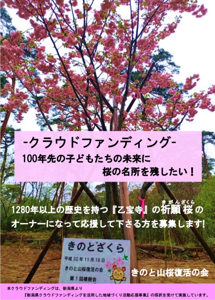 kinotomanju's tweet photo. #きのと山桜復活の会 の #クラウドファンディング 🌸

本当に有難い事に直接のご寄付も合わせて約70%になっております。本当にありがとうございます。

期間も残りわずかとなって参りましたが、最後まで頑張らせて頂きます！
どうぞよろしくお願い申し上げます。

#乙宝寺

https://t.co/vN9rE3jhFG https://t.co/pT0NBe7muL