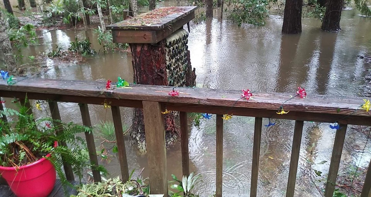 Adriana Reyes tweet media