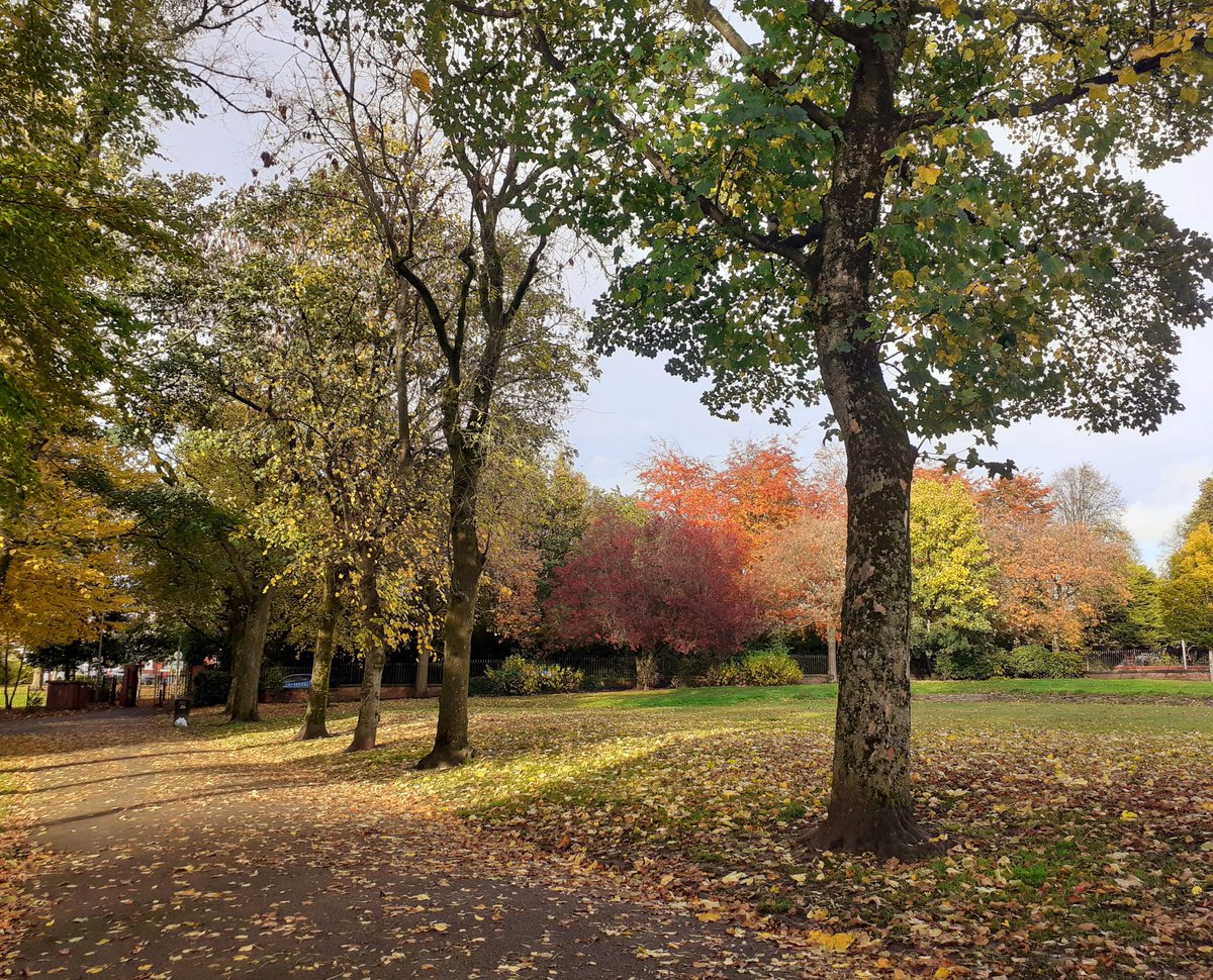 _johnsmc's tweet image. New England in the fall? No Lightoaks Park Salford UK.