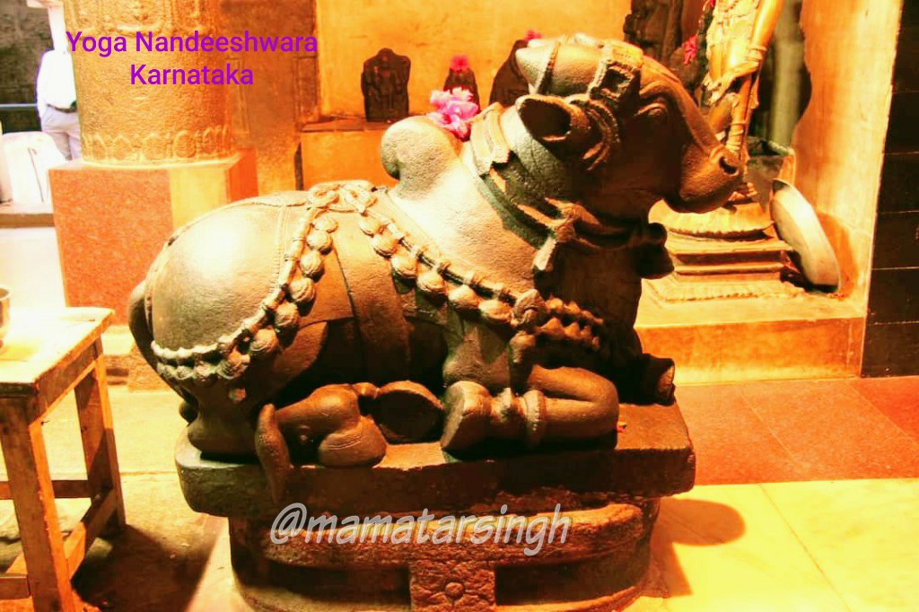  #ThreadWhy Nandi bull in front of every Shiva temple?Nandi, a symbol of tremendous power & devotion!As per popular belief, it signifies that before entering god Shiva's abode, leave your ego, desires etc (durgunas) behind with Nandi & enter(own pics from diff temples)1/4