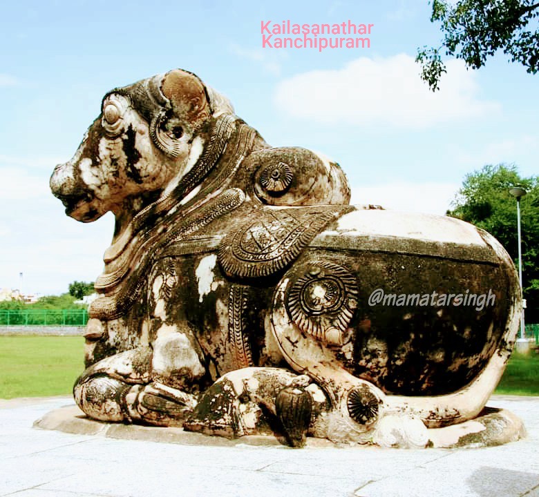  #ThreadWhy Nandi bull in front of every Shiva temple?Nandi, a symbol of tremendous power & devotion!As per popular belief, it signifies that before entering god Shiva's abode, leave your ego, desires etc (durgunas) behind with Nandi & enter(own pics from diff temples)1/4