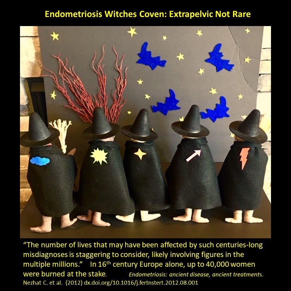 XtraNotRare's tweet photo. #Endometriosis A global disease that doesn’t discriminate ethnicity, nationality, socioeconomic or educational strata. A ‘common’ disease but diversity of poss. locations, progression, combinations w/ capacity to be devastating. #BodyWideLesionPotential #MultiOrgan #MultiSystem https://t.co/SUpYTgLrnE