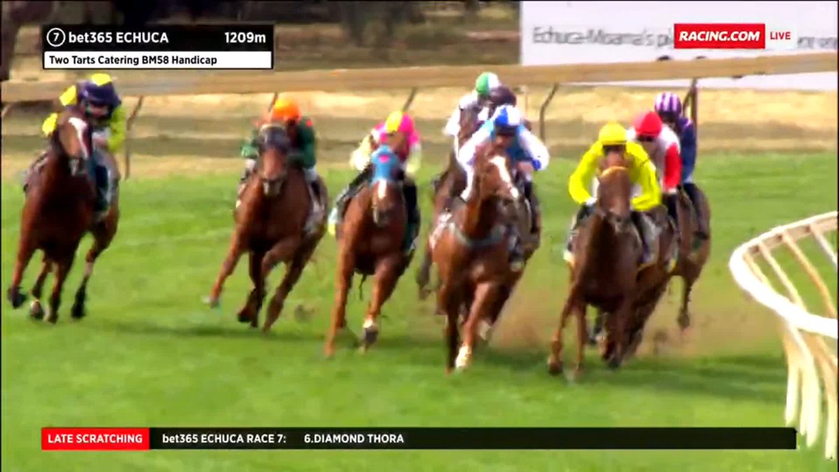 Kate Newton Katenew41441991 Twitter