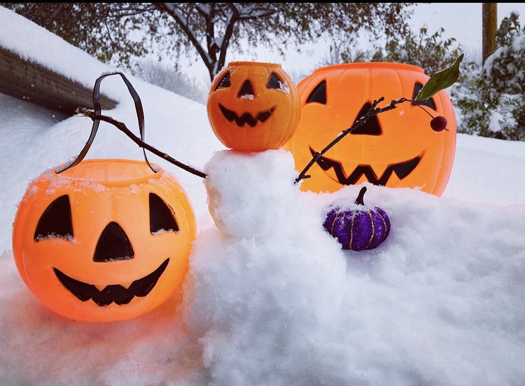 lowbrain_'s tweet photo. Halloween or Christmas which will you choose?
#minnesota #Minnesota2020 #snow #pumpkins #photography #thatssominnesota https://t.co/9u9rB8kyZJ