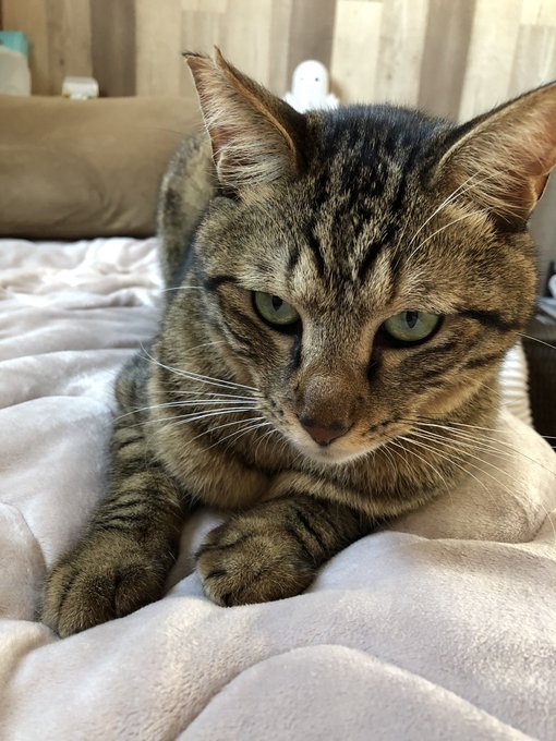 Keyword Stats 2020-10-23 at 17_26_50