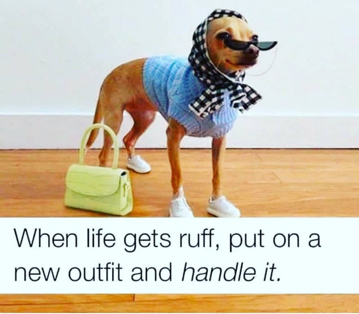 gracious_mi's tweet photo. When we lose one blessing, another is often most unexpectedly given in its place.
#mondaymotivation
#graciousmilifestyle
#lifehacks
#coronafashion
#workinprogress
#bodyshaper
#girdle
#hack
#lifehack
#foodhack
#weightlosshack
#fact https://t.co/RSq81basYD