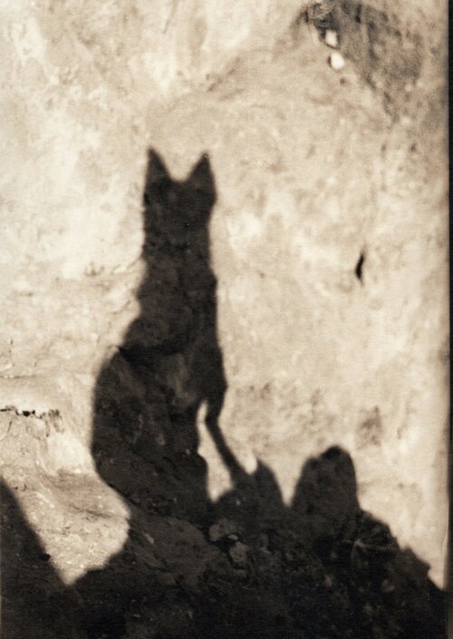 Joanna Pallaris, an artist who makes the most incredible analogue photographs, has a beautiful new website.

Take a look!

joannapallaris.com