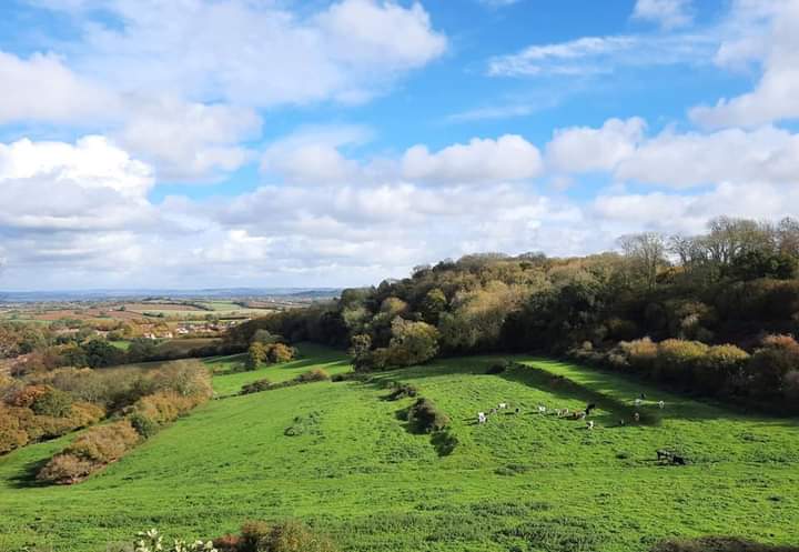 VisitSSomerset's tweet photo. A few pics from a well deserved #escapetheeveryday yesterday on Ham Hill Country Park. Great views and time to reflect.@SSDCCountryside https://t.co/n5rooFZ8z1