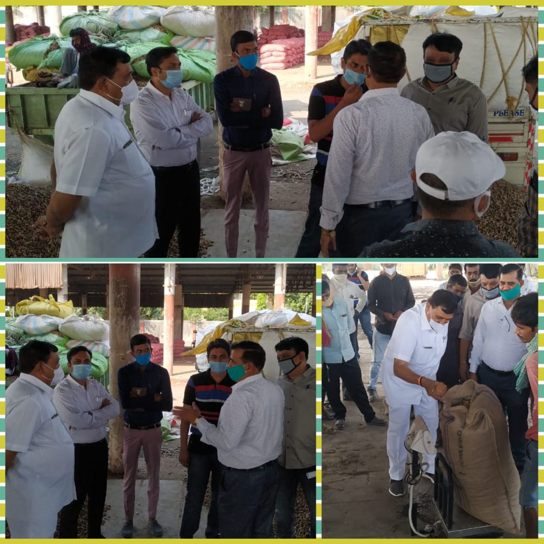 રાજકોટ તાલુકા અને કોટડા સાંગાણી તાલુકા ખાતે મગફળી ખરીદી પ્રક્રિયા શરૂ કરાઇ.
<a href="/CollectorRjt/">Collector Rajkot</a> <a href="/CMOGuj/">CMO Gujarat</a> <a href="/pkumarias/">Pankaj Kumar</a>