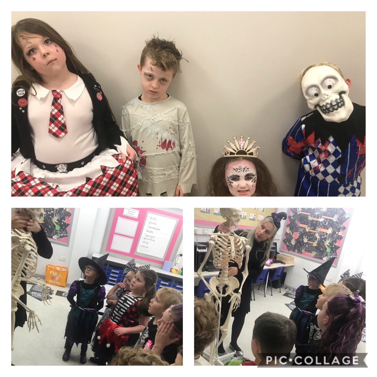 Had a special visitor in class last week...Bony Tony. The children loved learning about the human skeleton ๐#edutwitter #PrimaryRocks #HappyHalloween2020