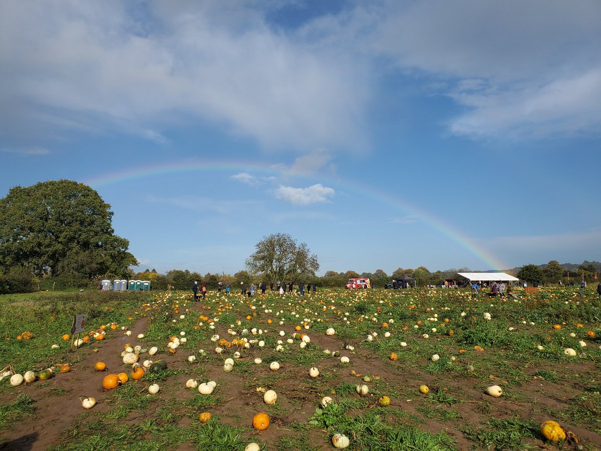 Pumpkin picking today and out pops a rainbow, wonder if we will find a pot of gourd at the end of it.. 😂