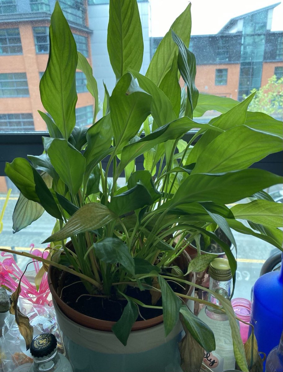 Lizzie Astles tweet media