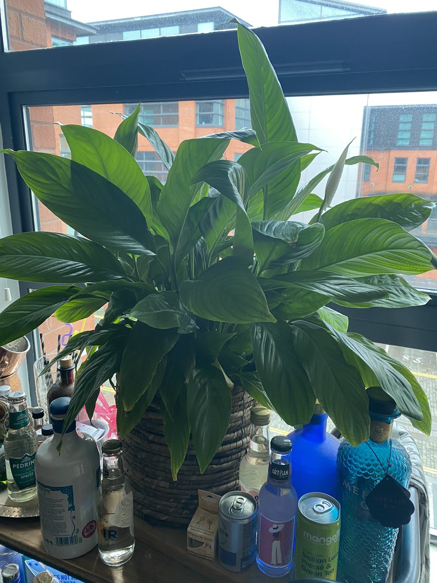 Lizzie Astles tweet media