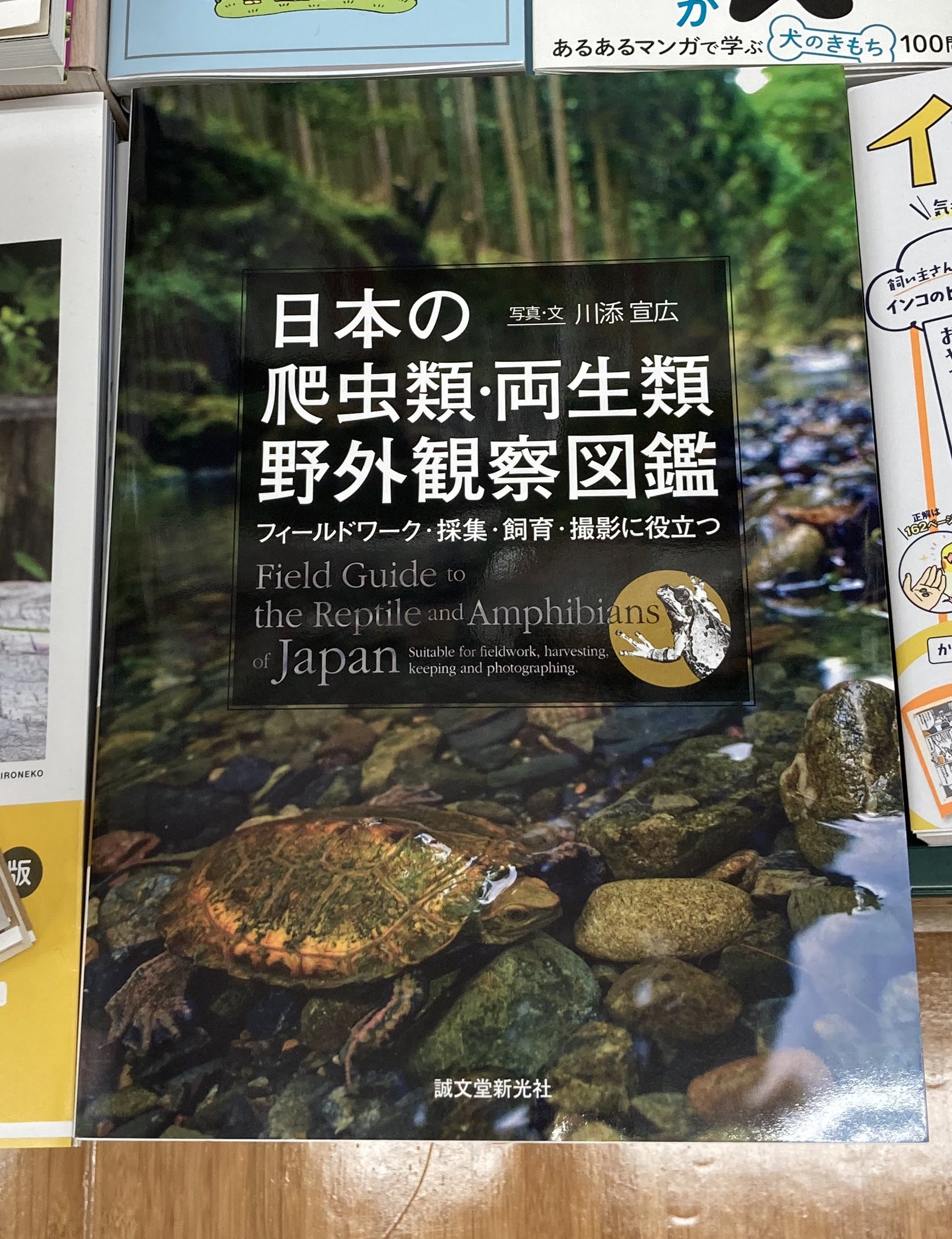 Hi 3158 そして これ 日本の爬虫類 両生類 野外観察図鑑 鱗の博物誌 鱗の博物誌は 特におすすめ T Co A0basojwtq Twitter