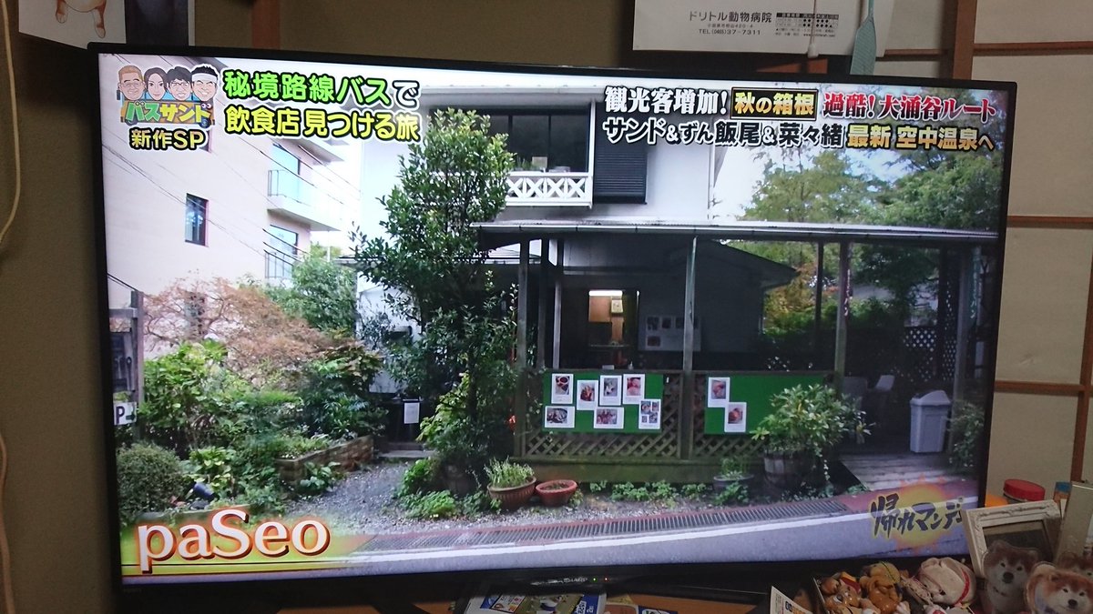 shibayuri0713's tweet photo. 別棟があって室内で美味しいピザやカレーが食べられるよ。看板犬もいるよ
#バスサンド
#パセオ
#paceo https://t.co/UHsB60Foam