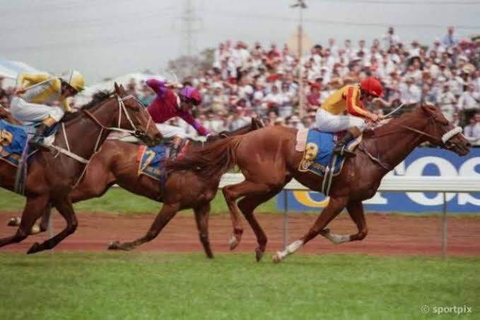 riverbankfarm1's tweet photo. Inspired by @MuelBoy doco ( by the way was superb ) we salute 1990 Melbourne Cup winner #KINGSTONRULE he ran incredible 3.16.3 in 1990 still the record holder @Racing @FlemingtonVRC #BART #BEADMAN #HAINES #JOE #MELBOURNECUP #1990 https://t.co/QGXfLGNNzA
