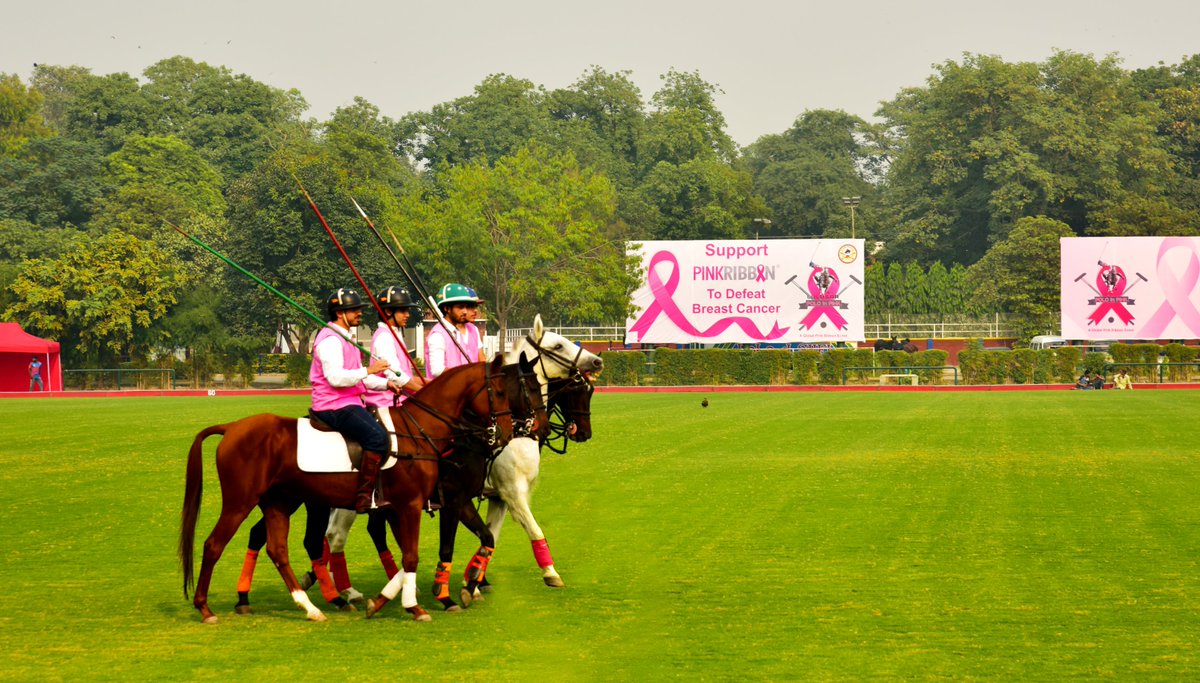 pinktoberpk's tweet photo. Talented Horse Riders Showing Thrilling Tent Pegging at Lulusar Polo in Pink, Co-hosted by Lahore Polo Club and Pink Ribbon
@BrightoPaintsPK @IndigoHHS @mromeraftab
#PinkRibbon #breastcancerawareness #lulusar #lahorepoloclub #BrightoPaints #HappyCowCheese #HogPakistan #KlockWork https://t.co/eTjfWjMDYF