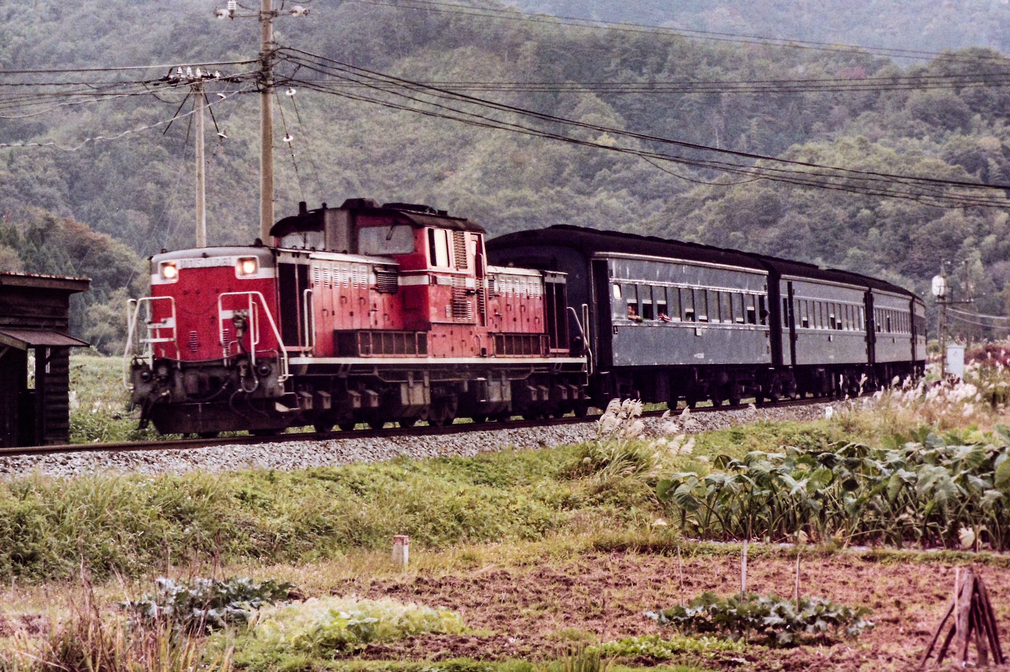 【全て新品未使用品】国鉄旧型客車列車726列車：DD51後期暖地形＆オハ35系他 DD51 後期 暖地形 | 鉄道模型店 Models IMON