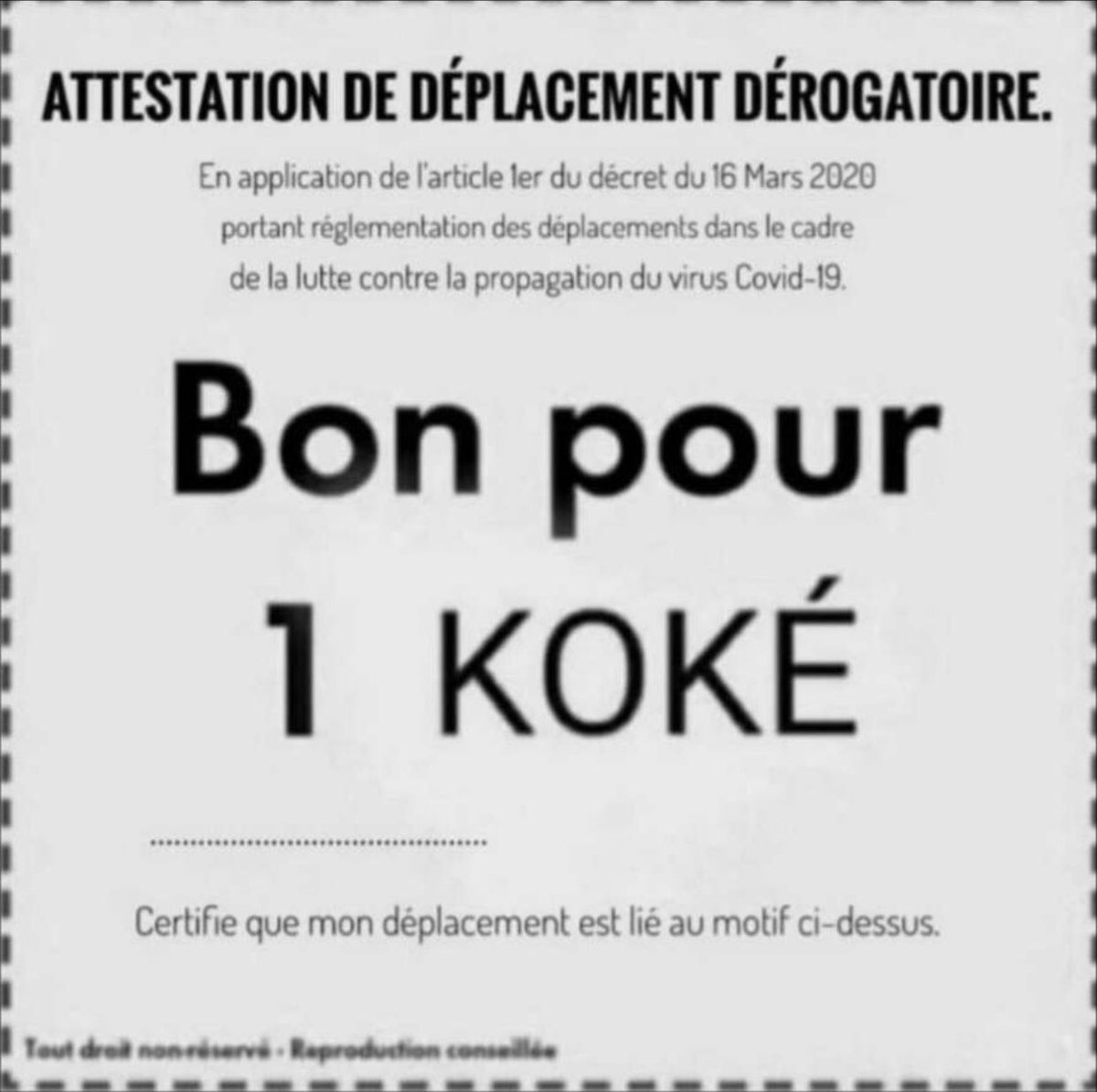 Attestation de déplacement dérogatoire pour un Koké lors du couvre feu voilà me remercier pas 😘🤣 https://t.co/yzAmy0S0W0