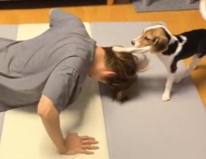 มึงเซียวจวิ้นสู้ใครได้บ้างวะ ขนาดเบลล่ายังสู้ไม่ได้เลย 5555555555555555555555555